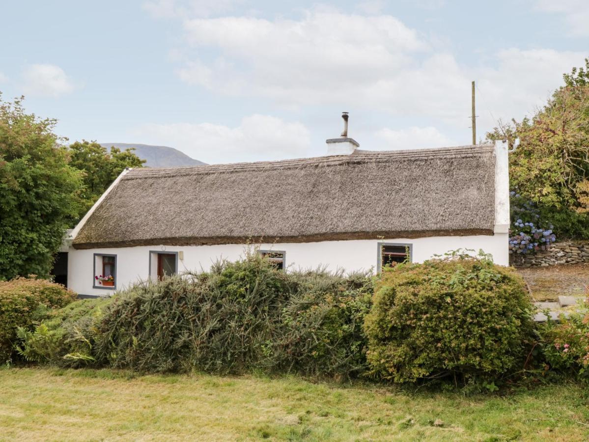 The Thatched Cottage Liscarney Εξωτερικό φωτογραφία
